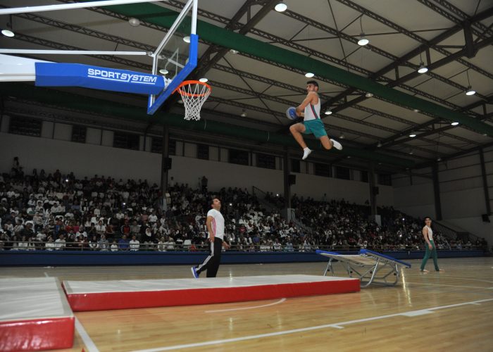 ARZ Basket 3 indep0308